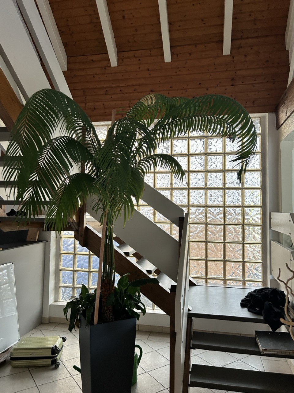 Wohnbau Kraus EFH Haustürtausch, Sanierung Vorher 1